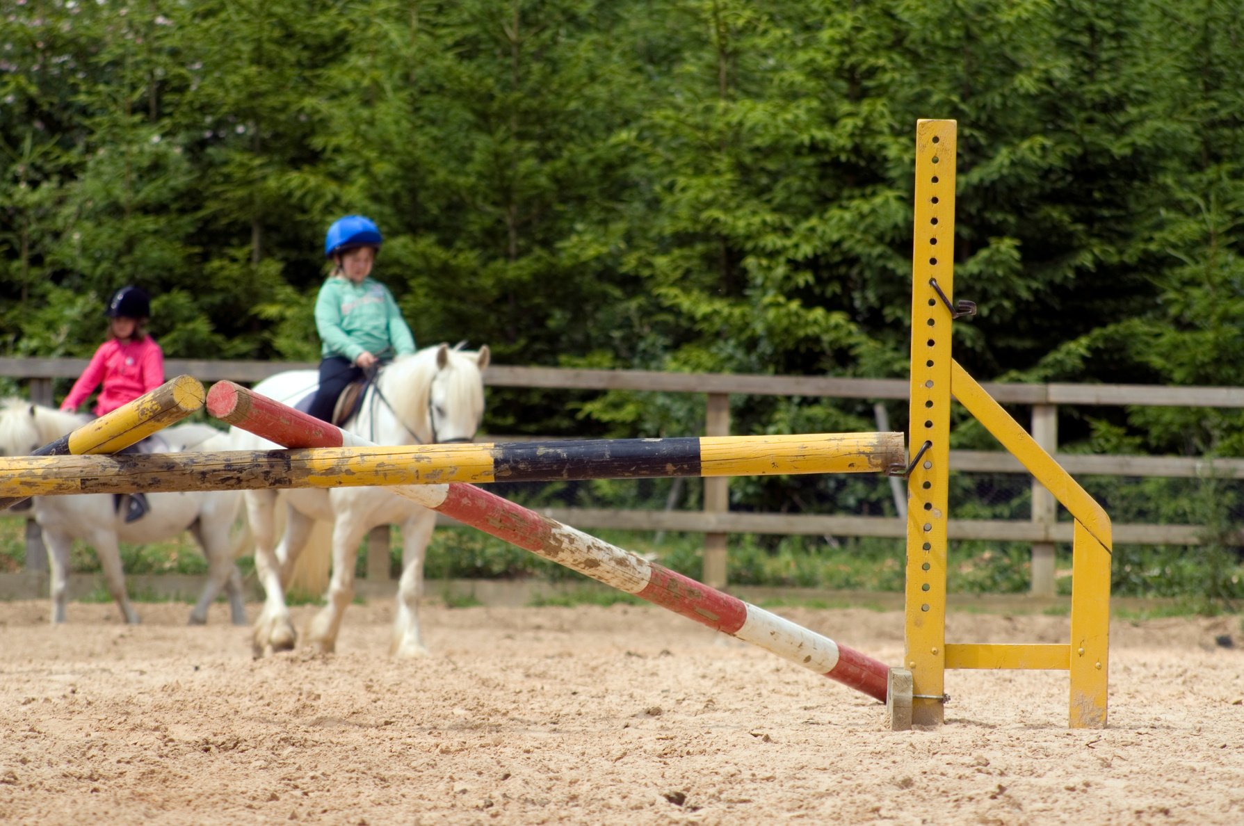 Horseriding School